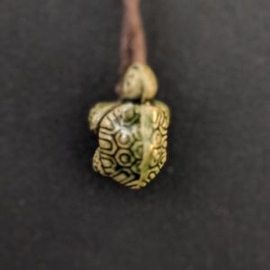 Costa rica turtle necklace